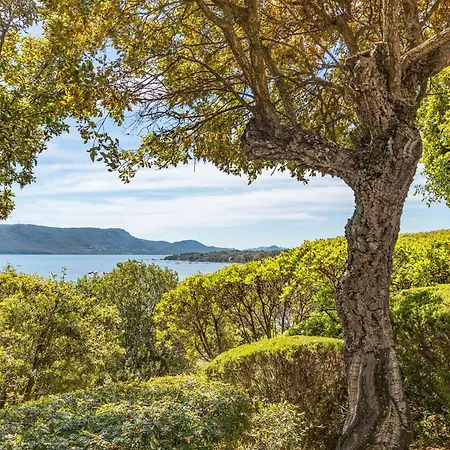 A Signoria * פורטו-וישיו