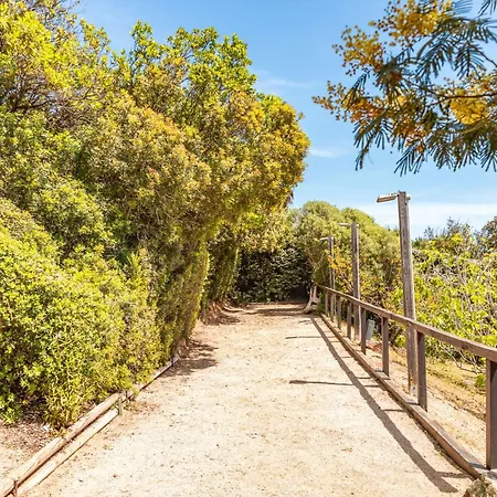 A Signoria פורטו-וישיו