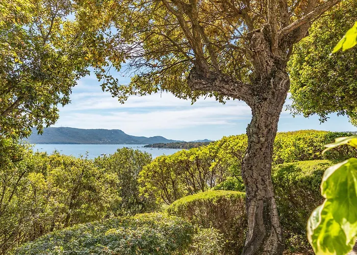 A Signoria * Porto-Vecchio (Corsica)